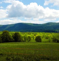 vernon valley farm – fields with clouds